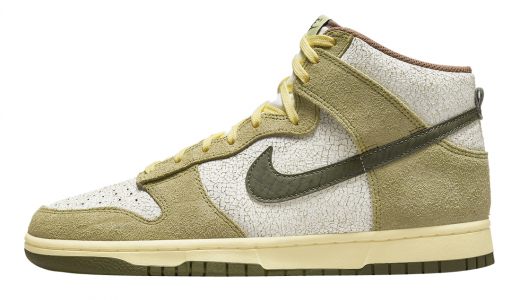 Nike Dunk High Re-Raw Coriander/Summit White-Sail DO6713-300