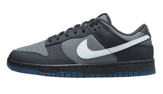 Nike Dunk Low Anthracite Anthracite/Pure Platinum-Cool Grey FV0384-001