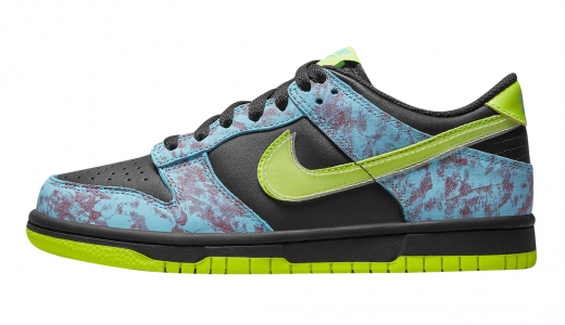 Nike Dunk Low GS Acid Wash Multi-Color/Volt-Black-Baltic Blue DV1694-900