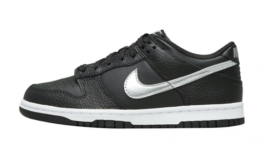 Nike Dunk Low GS Black Silver Black/Silver DC9560-001