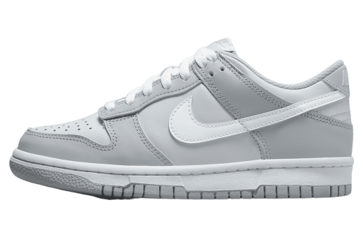 Nike Dunk Low GS Grey Grey/White DH9765-001