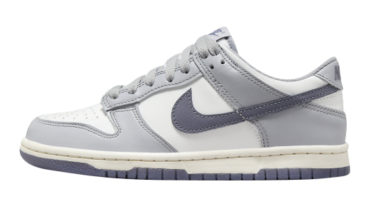 Nike Dunk Low GS Platinum Tint White/Light Carbon-Platinum Tint-Pure Platinum FB9109-101