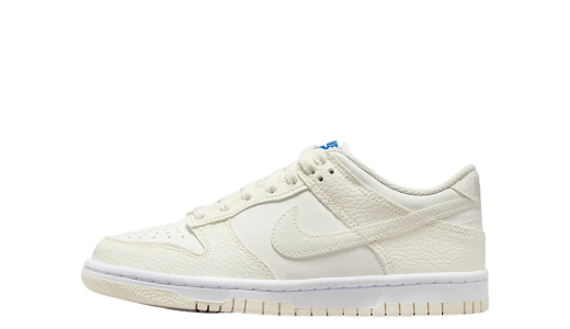 Nike Dunk Low GS Sail/Blue Sail/White/Blue FV7472-100