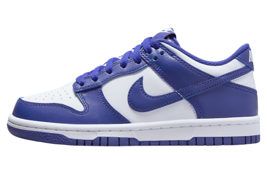 Nike Dunk Low GS White / Concord White/University Red/Concord FB9109-106