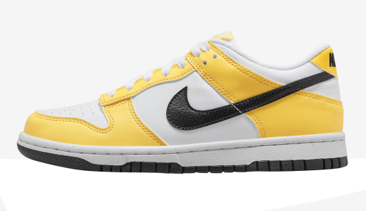 Nike Dunk Low Next Nature GS Citron Pulse Citron Pulse/White-Black FN3807 800