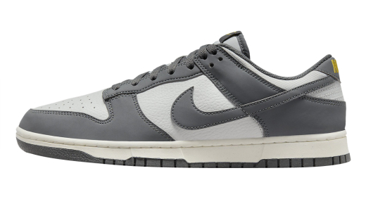 Nike Dunk Low Next Nature Smoke Grey Light Smoke Grey/Dark Smoke Grey FZ4621-001