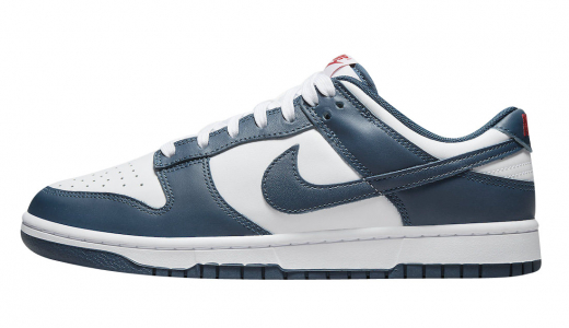 Nike Dunk Low Valerian Blue Valerian Blue/Valerian Blue-White DD1391-400