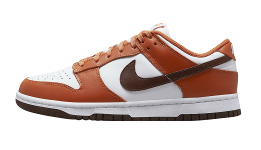 Nike Dunk Low WMNS Bronze Eclipse White/Orange-Brown DQ4697-800