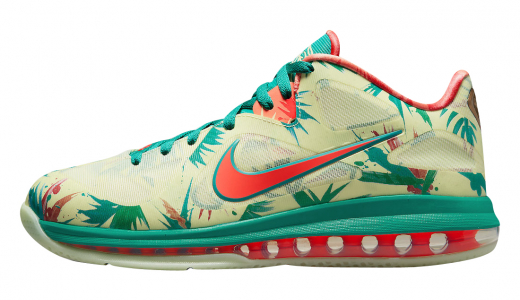 Nike LeBron 9 Low LeBronold Palmer Mullticolor DO9355-300