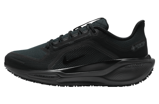 Nike Pegasus 41 Gore-Tex Black / Anthracite / Black Black/Anthracite FQ1356-001