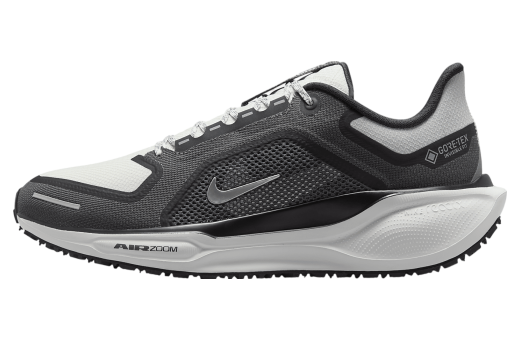 Nike Pegasus 41 Gore-Tex Black / Anthracite Black/Anthracite/Iron Grey/Summit White FQ1356-002