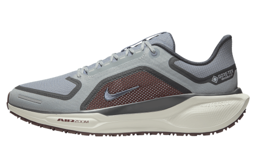 Nike Pegasus 41 Gore-Tex Light Pumice / Burgundy Crush Light Pumice/Burgundy Crush/Dark Smoke Grey/Ashen Slate FQ1356-003