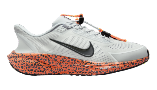 Nike Pegasus EasyOn Olympic Safari Multi-Color/Multi-Color HF5457-900