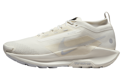 Nike Pegasus Trail 5 GORE-TEX White / Photon Dust White/Photon Dust FQ0908-101