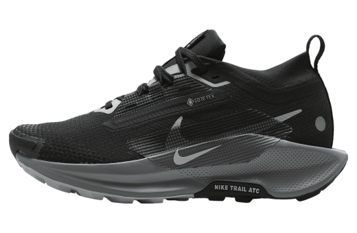 Nike Pegasus Trail 5 GORE-TEX WMNS Black / Cool Grey Black/Cool Grey/Anthracite/Wolf Grey FQ0912-001