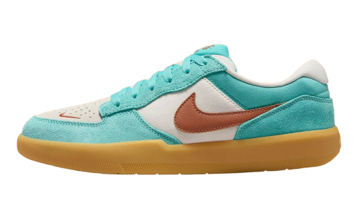 Nike SB Force 58 Dusty Cactus Dusty Cactus DV5477-302